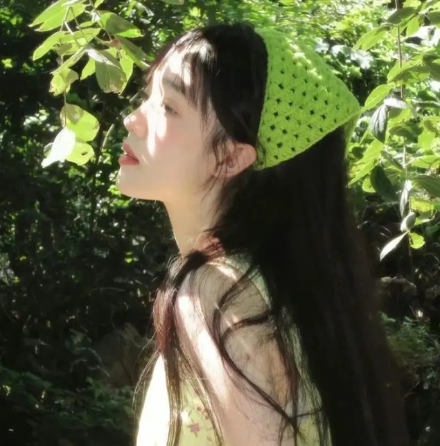 烛影危林