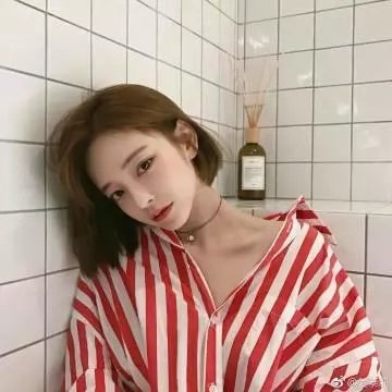 黑暗的森林